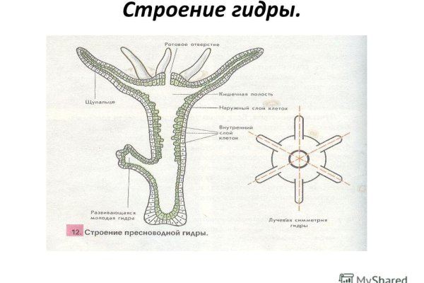 Кракен в россии наркотик