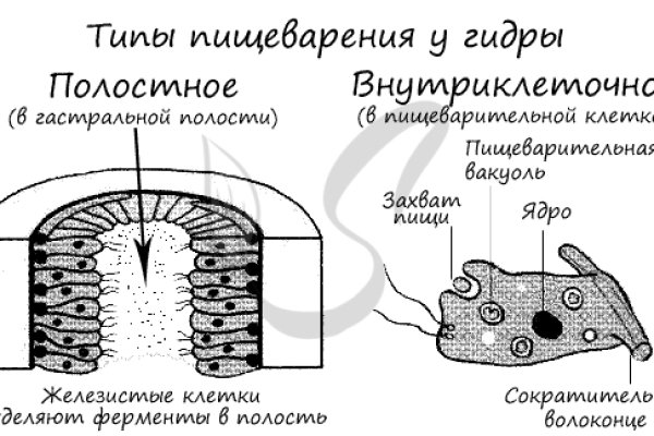 Кракен магазин тор