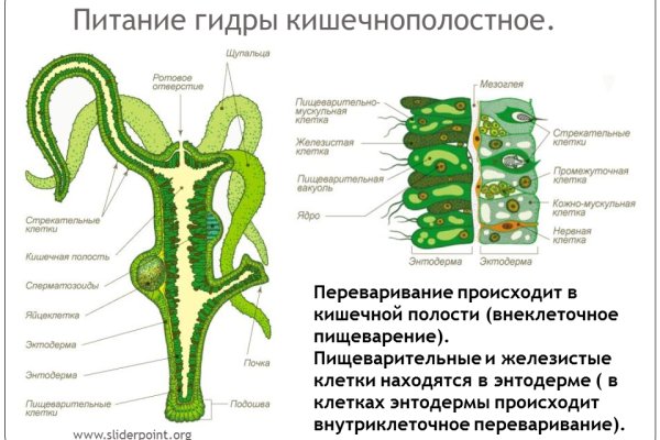 Адрес сайта кракен