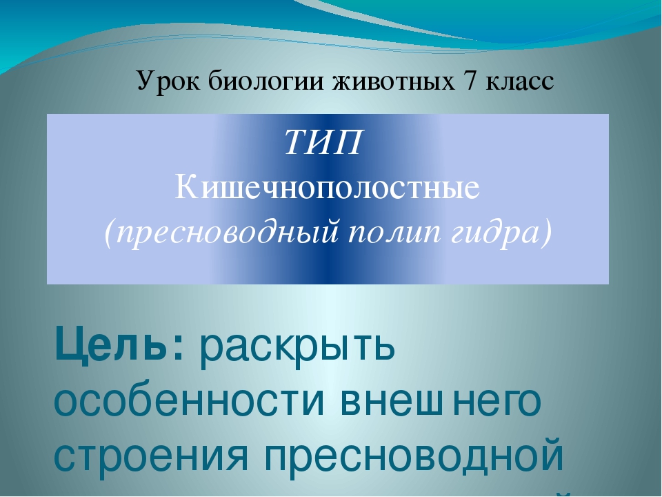 Кракен маркер даркнет