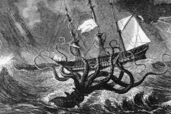 Hydra kraken