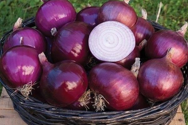 Что такое кракен маркетплейс курительный смесс