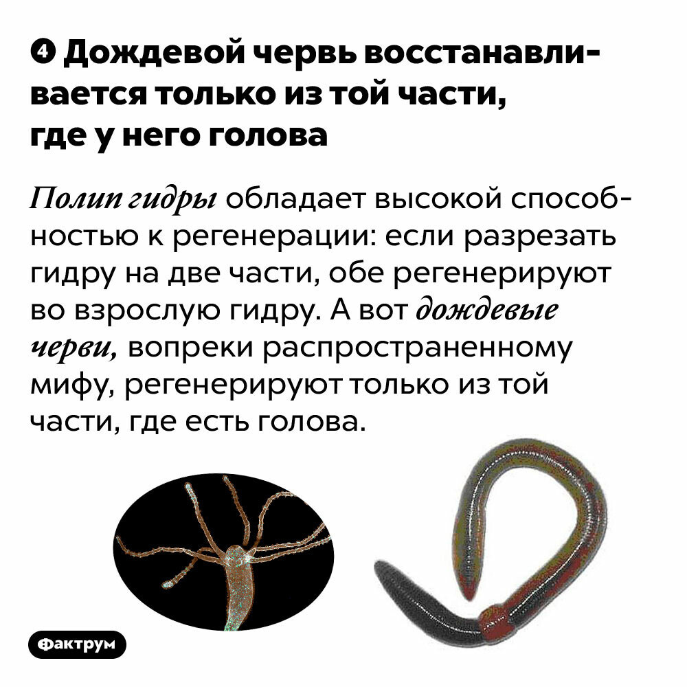 Кракен маркетплейс работает